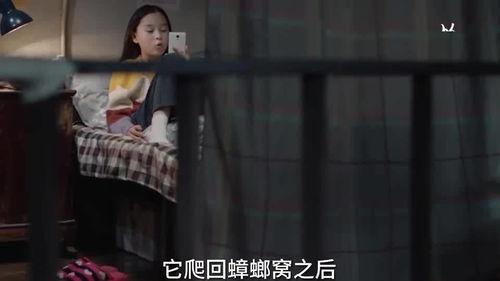 年轻小姐姐爆料视频,揭秘幕后真相 第1张 年轻小姐姐爆料视频,揭秘幕后真相 第1张